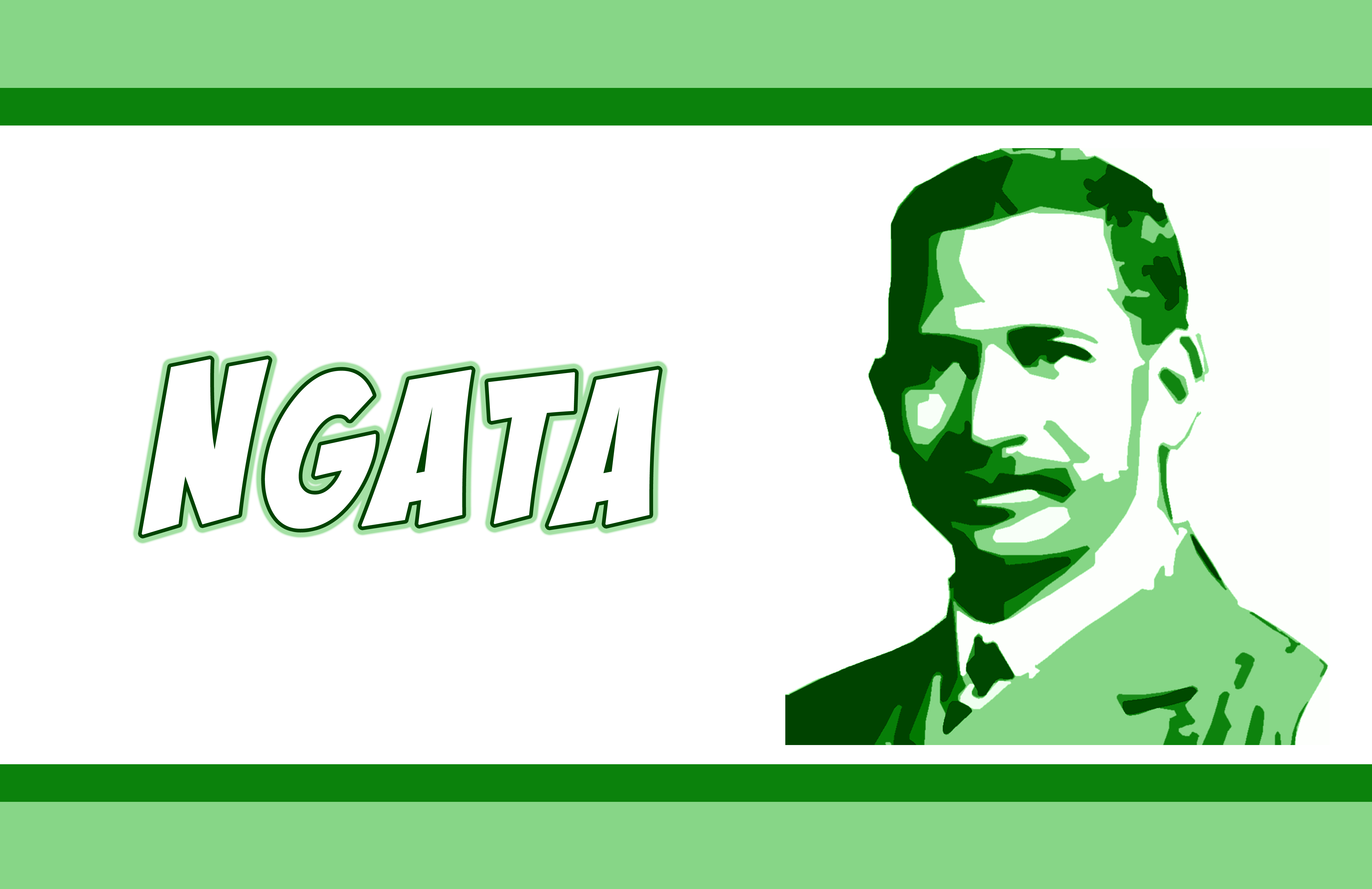 Ngata Banner b Ngata Banner b
