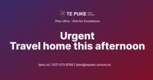 Read more about the article Urgent – Travel home this afternoon
